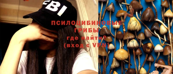 спиды Алзамай