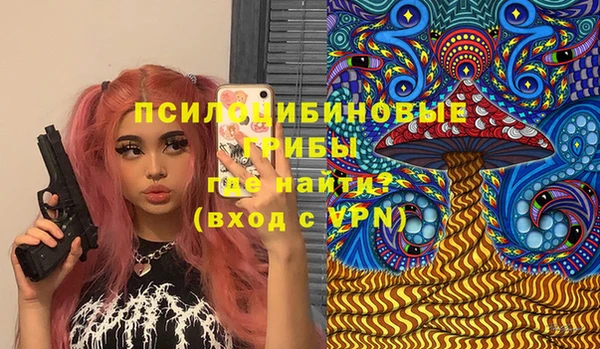 дживик Алексин